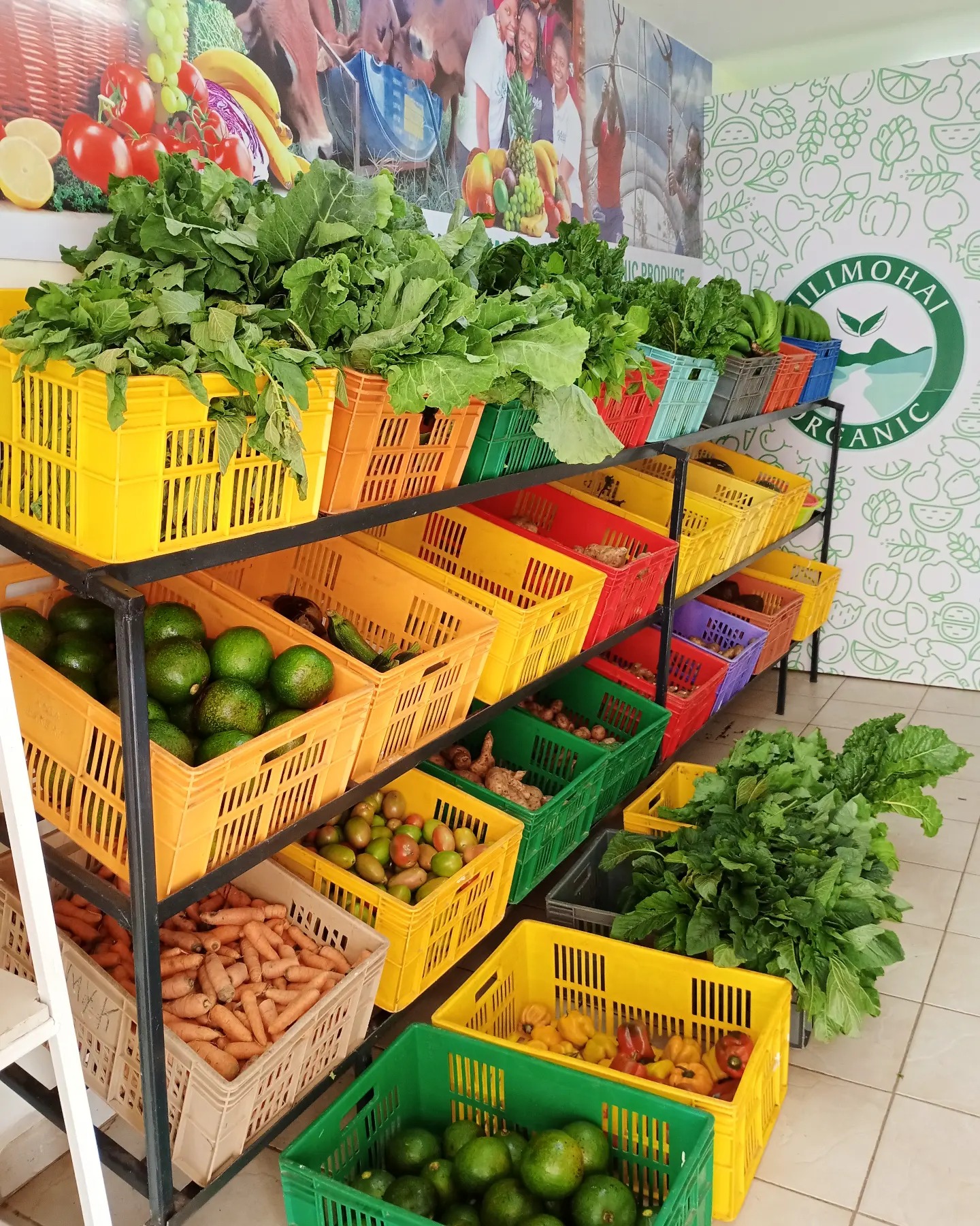 Fresh organic vegetables